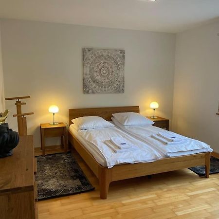 Cozy, Sunny, City Center 1 Bedroom Flat Цюрих Экстерьер фото
