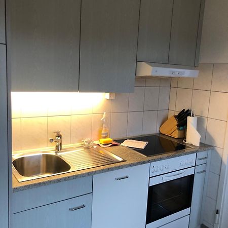 Cozy, Sunny, City Center 1 Bedroom Flat Цюрих Экстерьер фото