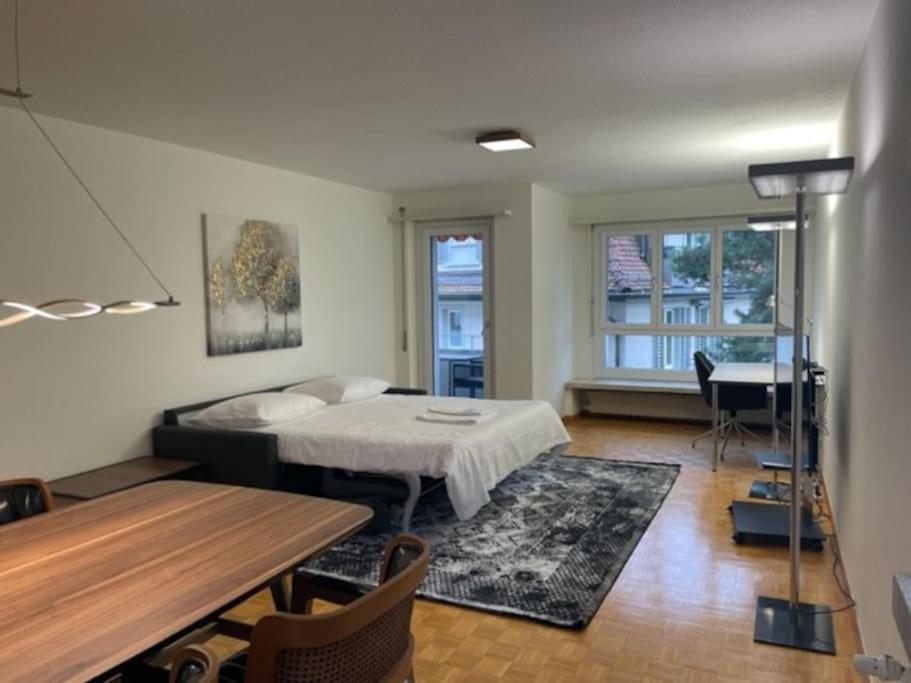 Cozy, Sunny, City Center 1 Bedroom Flat Цюрих Экстерьер фото