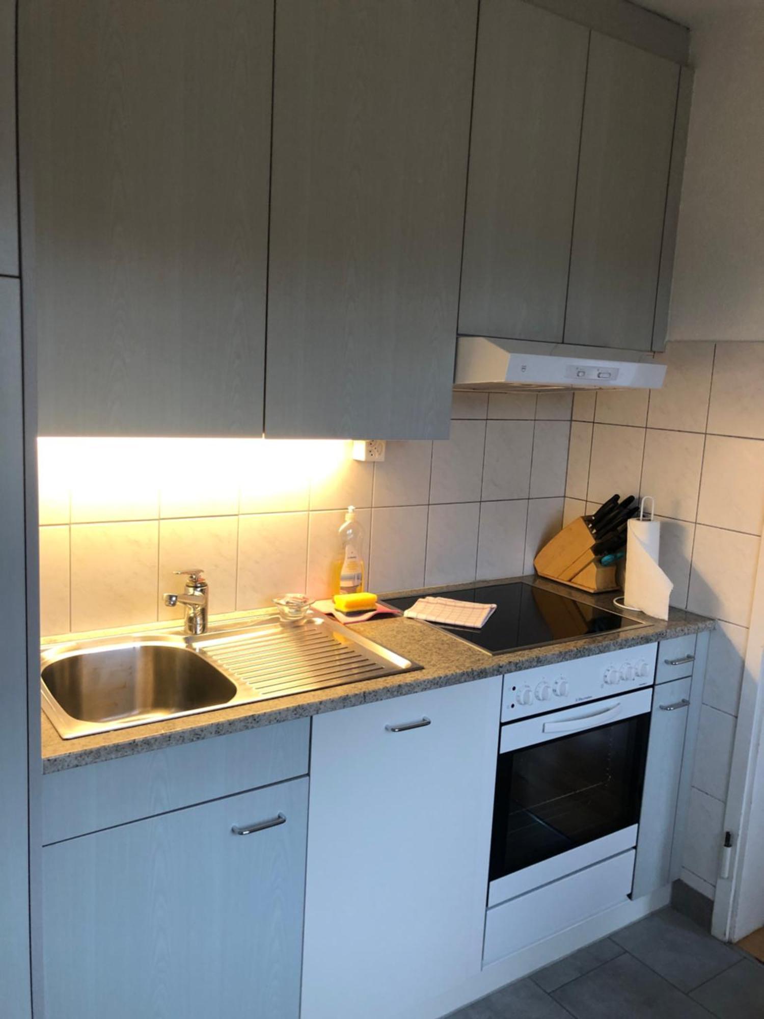 Cozy, Sunny, City Center 1 Bedroom Flat Цюрих Экстерьер фото